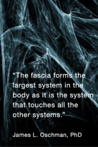 Fascia largest system Sports massage
