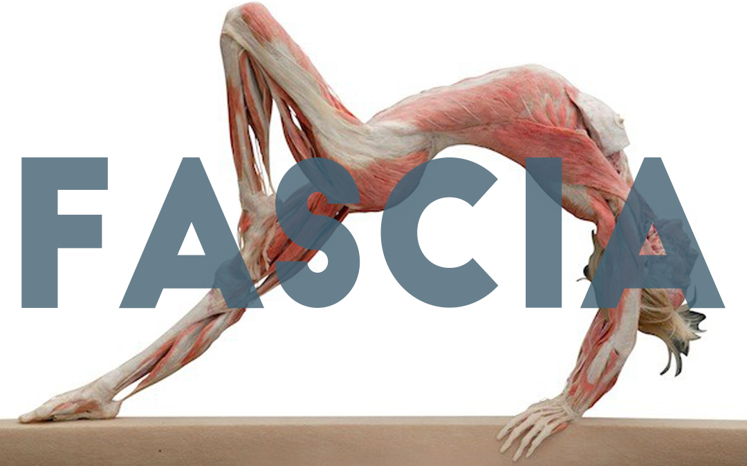 The Fascia-nating webbed world of Fascia